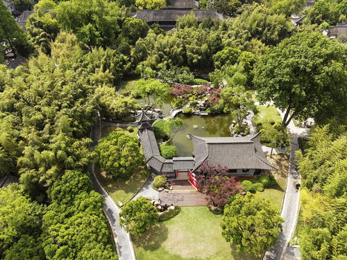活化古典園林，賦能‘最江南’——探訪江蘇省文化和旅游重點實驗室園林