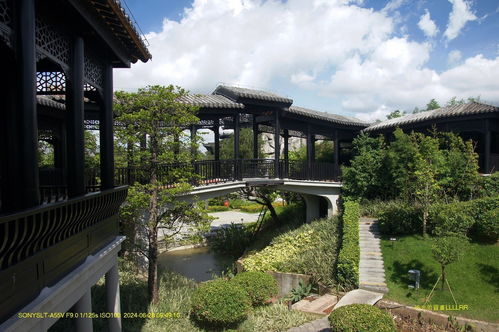 廣府園林 嶺南文化的藝術瑰寶