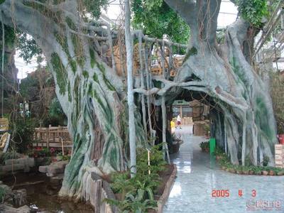 宜賓假樹大門 藝術(shù)與自然的完美融合