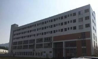 園林式食品廠房出租 番禺鐘村16000平方標準廠房，融合綠色生態與產業功能