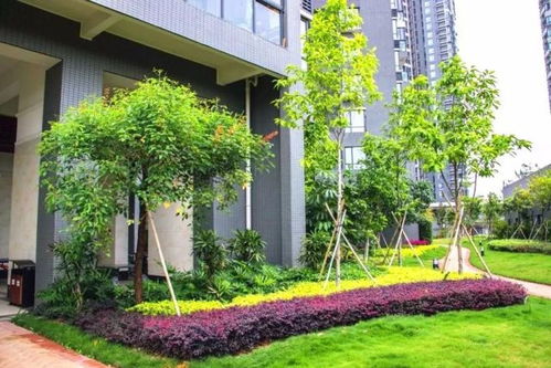 匠心筑境 詩意棲居——中國風(fēng)景園林學(xué)會(huì)“優(yōu)秀園林工程”精品項(xiàng)目回顧